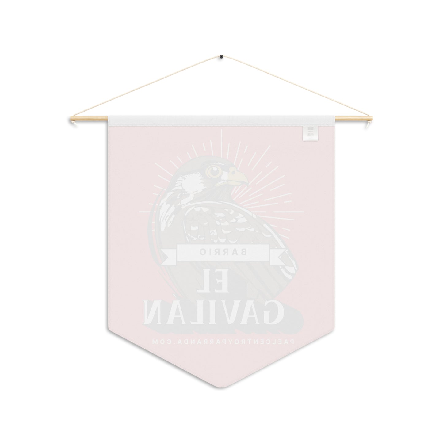 El Gavilán, Taguayabón. Pennant