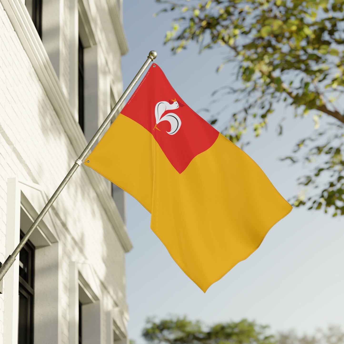 San Salvador, Remedios. Double Sided Flag