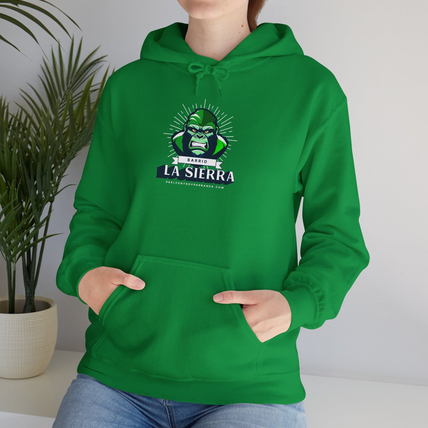La Sierra, Buenavista. Unisex Heavy Blend™ Hooded Sweatshirt