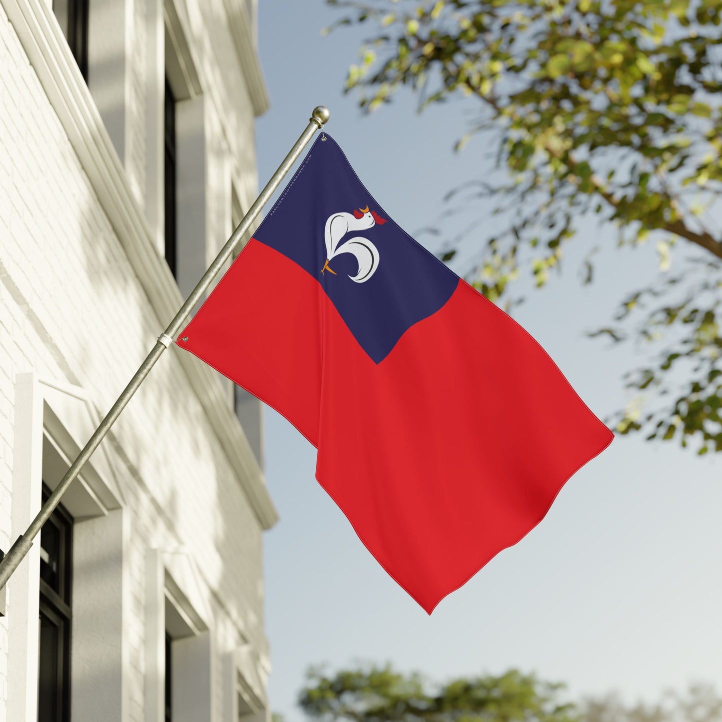 San Salvador, Remedios. Double Sided Decorative Flag.