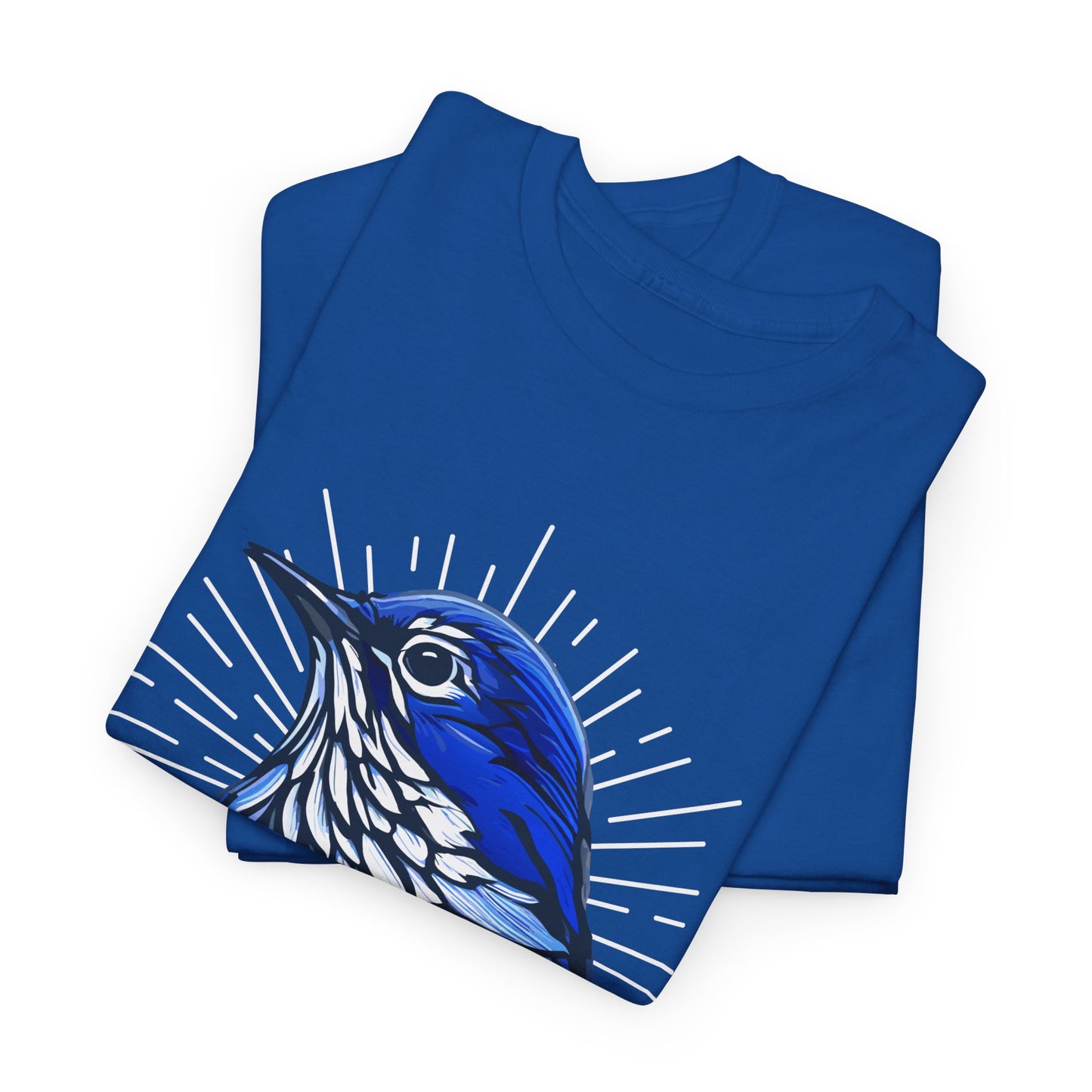 Fortún, Placetas. Unisex Heavy Cotton Tee