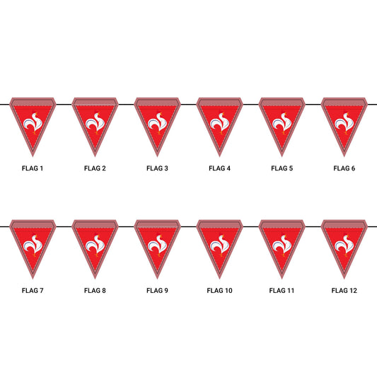 San Salvador, Remedios. Festive Party Triangle Flags